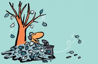 De praktische 365-update: aflevering 27